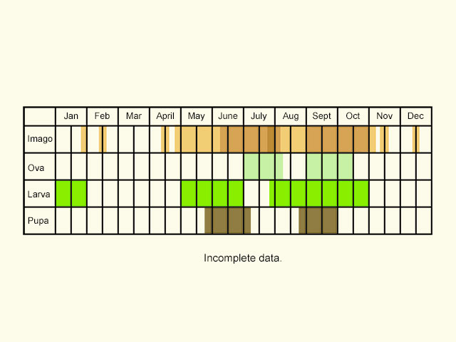  Life stages table Copyright Martin Evans 