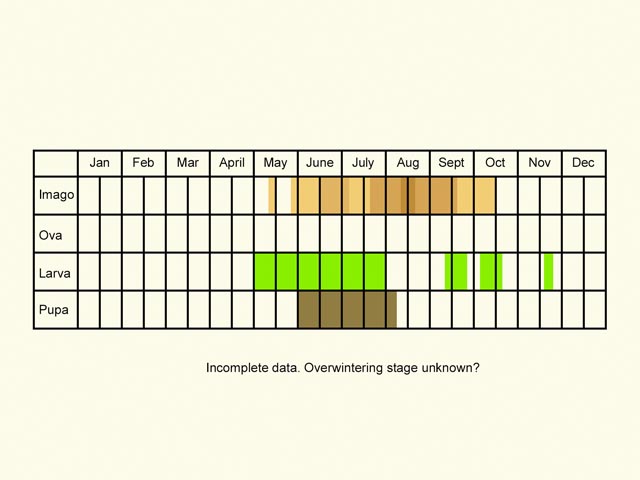  Life stages table Copyright Martin Evans 