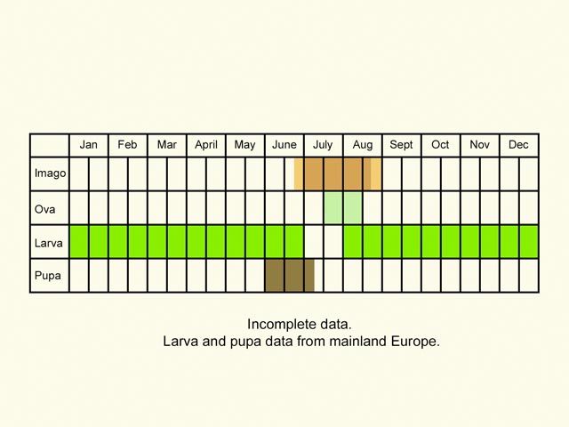  Life stages table Copyright Martin Evans 