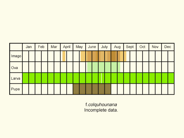  Life stages table Copyright Martin Evans 