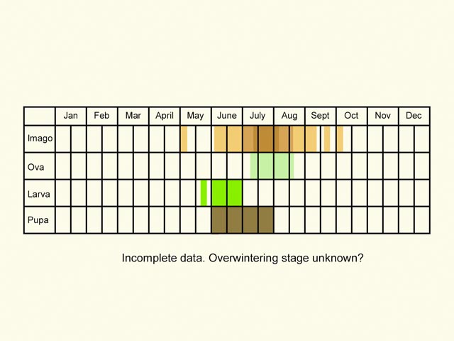  Life stages table Copyright Martin Evans 