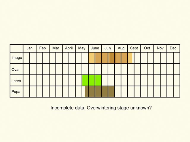  Life stages table Copyright Martin Evans 