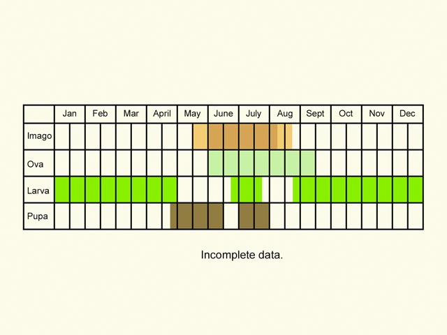  Life stages table Copyright Martin Evans 