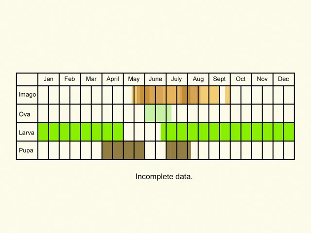  Life stages table Copyright Martin Evans 