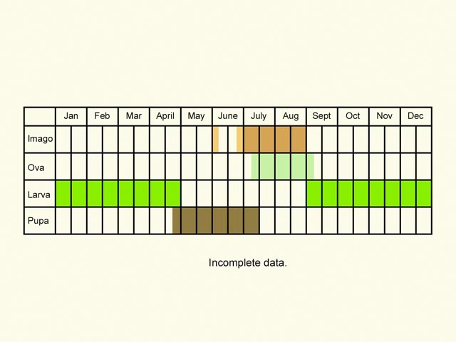  Life stages table Copyright Martin Evans 