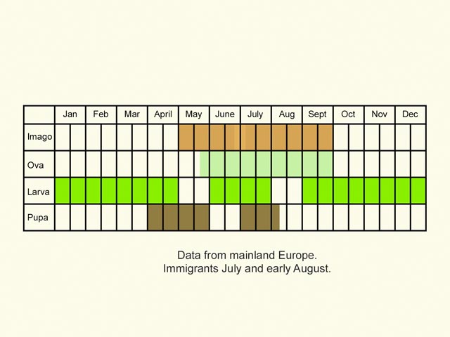  Life stages table Copyright Martin Evans 