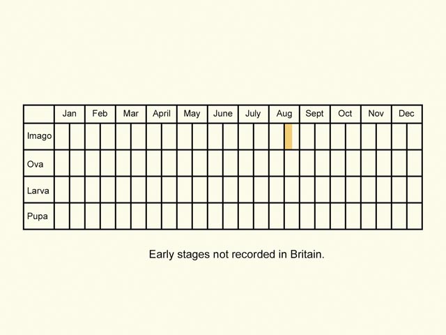  Life stages table Copyright Martin Evans 