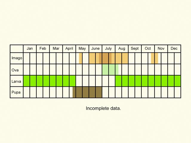  Life stages table Copyright Martin Evans 