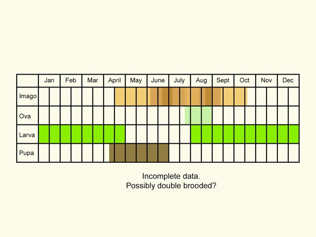  Life stages table Copyright Martin Evans 