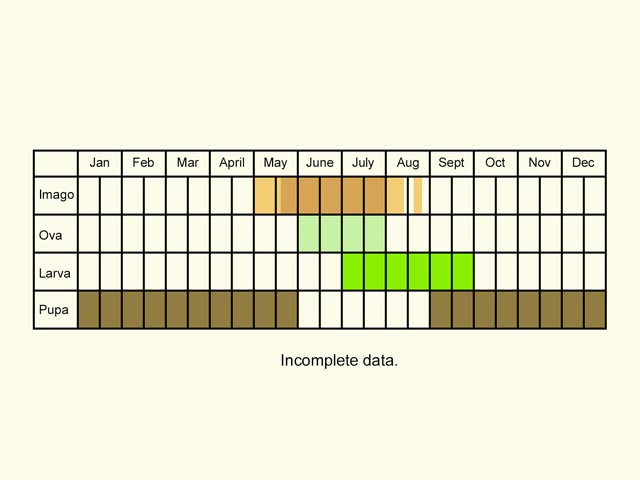  Life stages table Copyright Martin Evans 