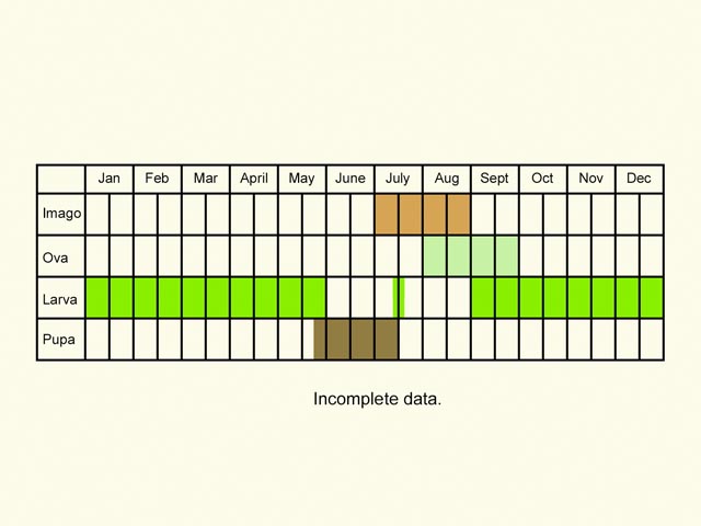  Life stages table Copyright Martin Evans 