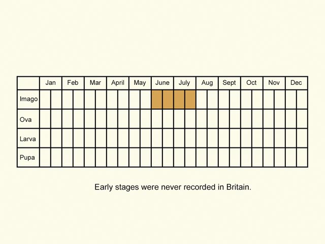  Life stages table Copyright Martin Evans 