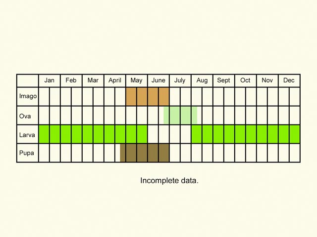  Life stages table Copyright Martin Evans 