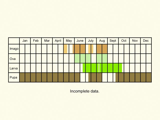  Life stages table Copyright Martin Evans 