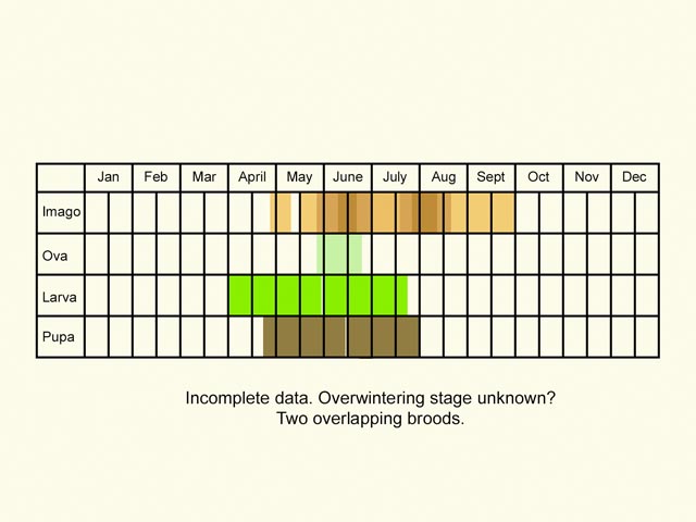  Life stages table Copyright Martin Evans 