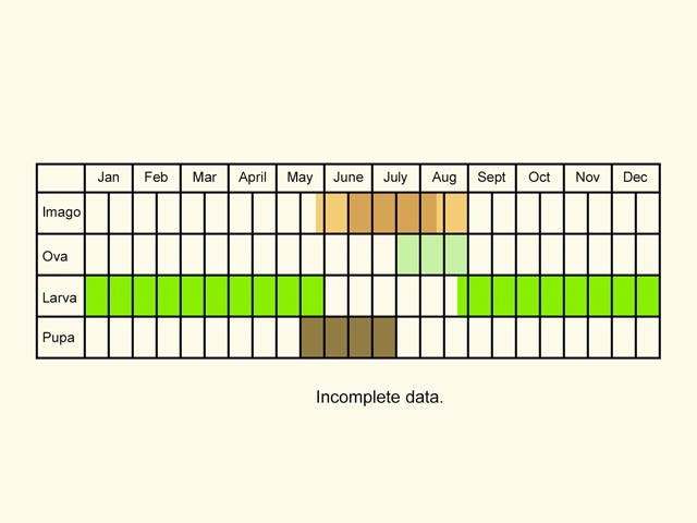  Life stages table Copyright Martin Evans 