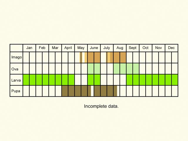  Life stages table Copyright Martin Evans 