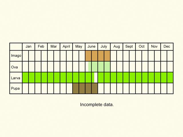  Life stages table Copyright Martin Evans 