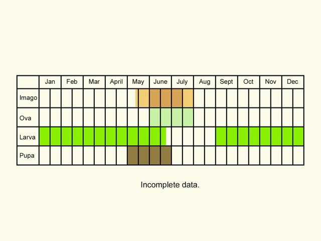  Life stages table Copyright Martin Evans 