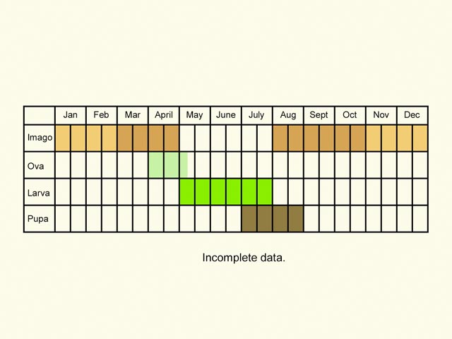  Life stages table Copyright Martin Evans 