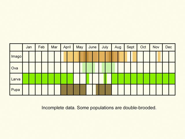  Life stages table Copyright Martin Evans 