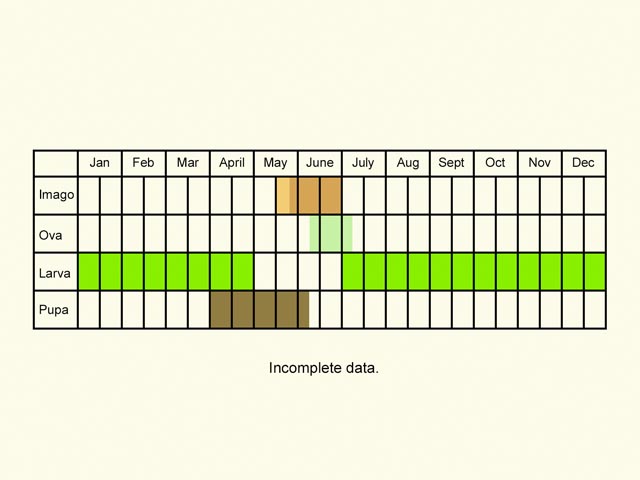  Life stages table Copyright Martin Evans 