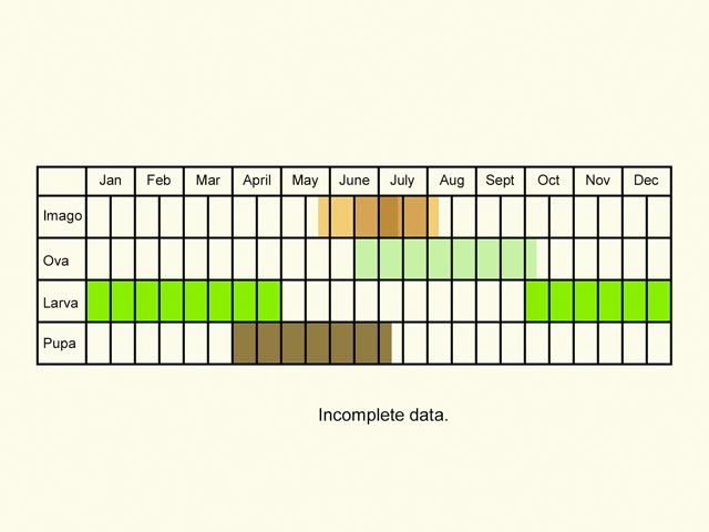  Life stages table Copyright Martin Evans 