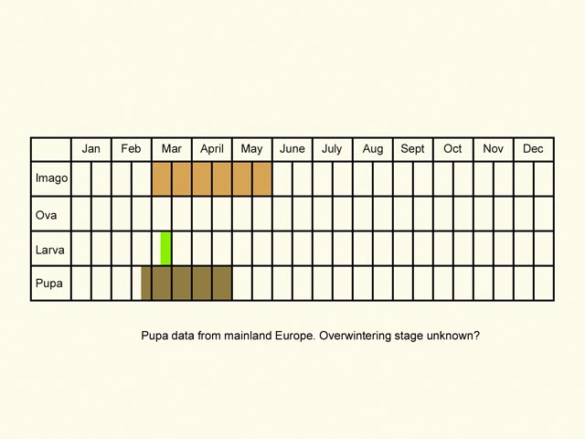  Life stages table Copyright Martin Evans 