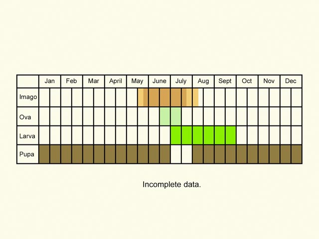  Life stages table Copyright Martin Evans 