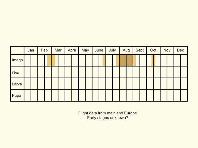  Life stages table Copyright Martin Evans 