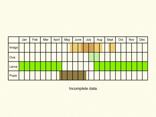  Life stages table Copyright Martin Evans 