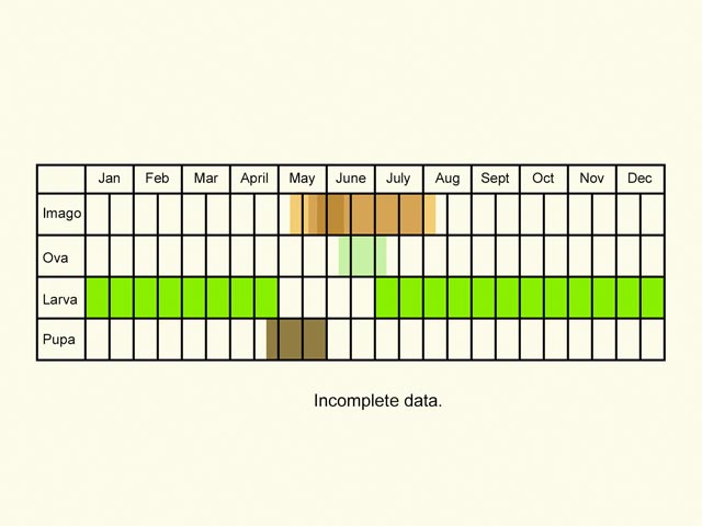  Life stages table Copyright Martin Evans 