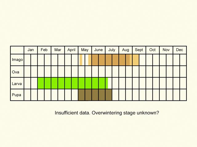  Life stages table Copyright Martin Evans 