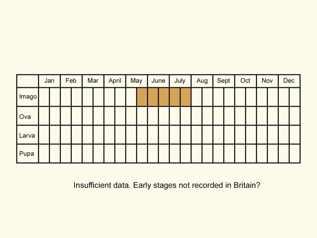  Life stages table Copyright Martin Evans 