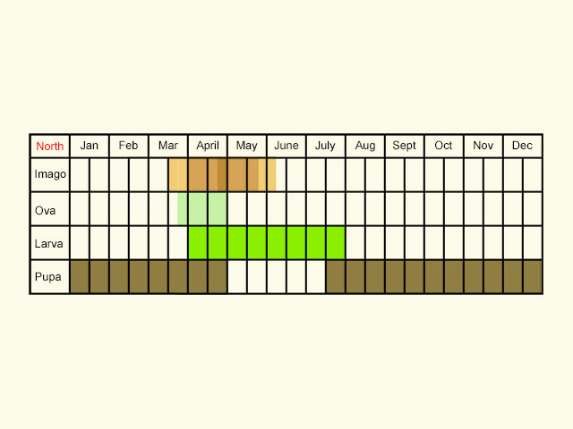  Life stages table Copyright Martin Evans 