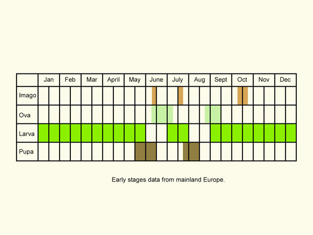  Life stages table Copyright Martin Evans 