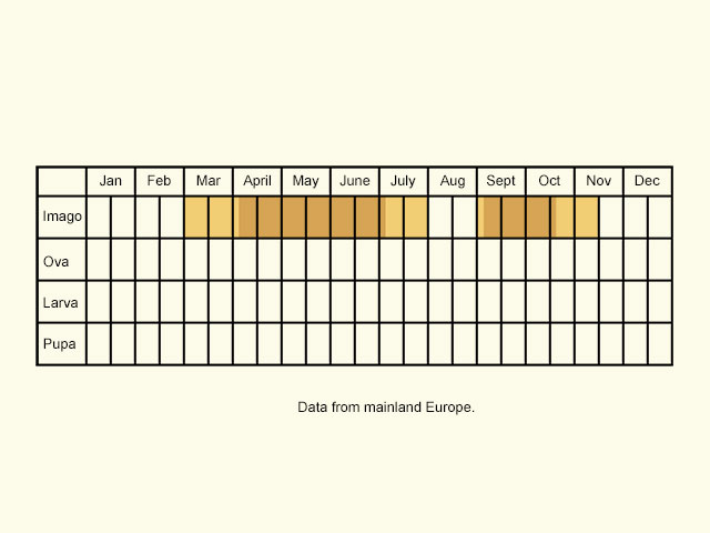  Life stages table Copyright Martin Evans 