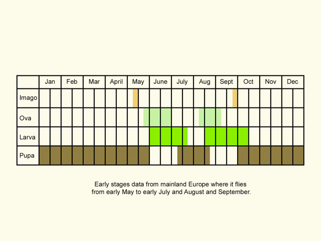  Life stages table Copyright Martin Evans 