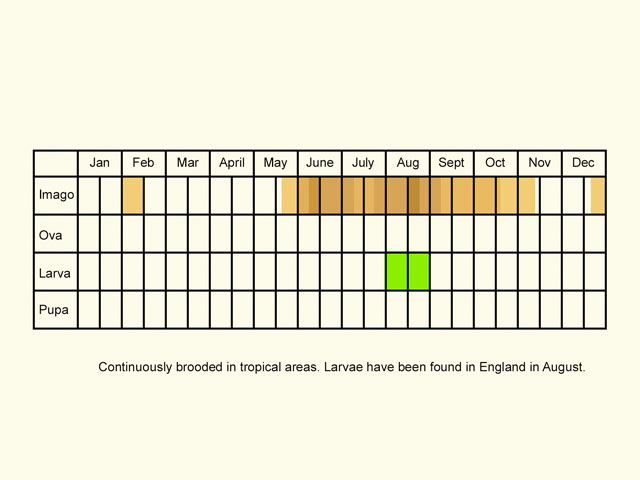  Life stages table Copyright Martin Evans 