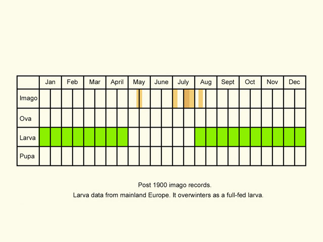  Life stages table Copyright Martin Evans 