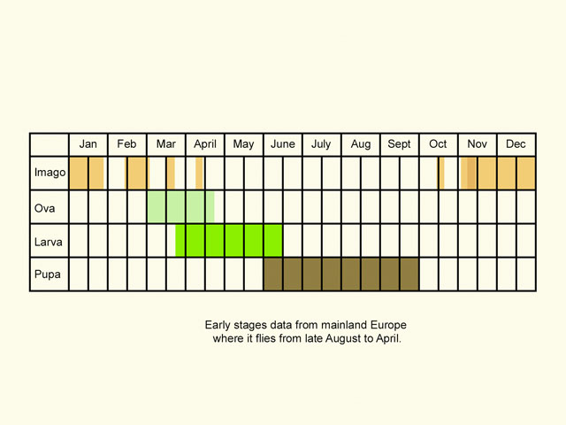  Life stages table Copyright Martin Evans 