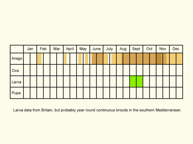  Life stages table Copyright Martin Evans 