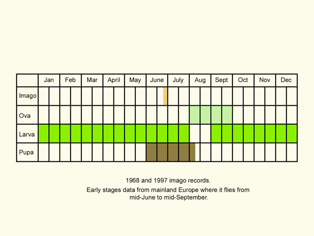  Life stages table Copyright Martin Evans 