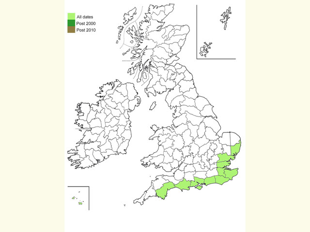  Distribution map Copyright Martin Evans 