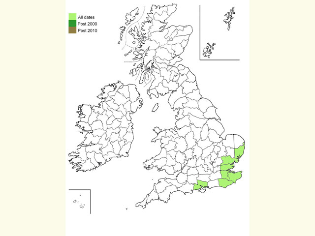  Distribution map Copyright Martin Evans 