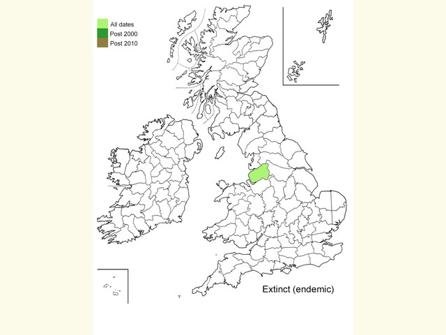  Distribution map Copyright Martin Evans 