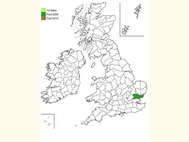  Distribution map Copyright Martin Evans 