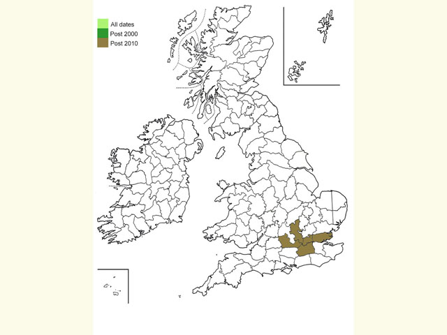  Distribution map Copyright Martin Evans 