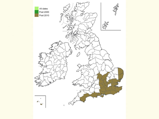  Distribution map Copyright Martin Evans 