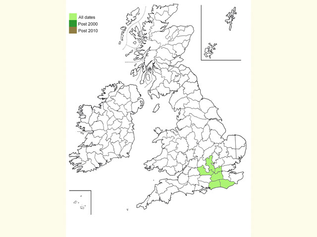  Distribution map Copyright Martin Evans 